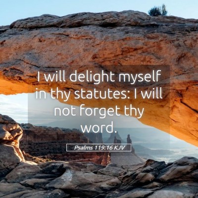 Picture 05 - Psalms 119:16 KJV - I will delight myself in thy statutes: I will not - Bible Verse Picture