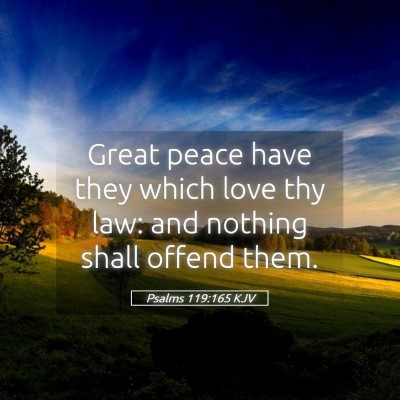 Picture 05 - Psalms 119:165 KJV - Great peace have they which love thy law: and - Bible Verse Picture