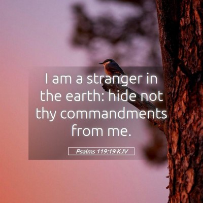 Picture 05 - Psalms 119:19 KJV - I am a stranger in the earth: hide not thy - Bible Verse Picture