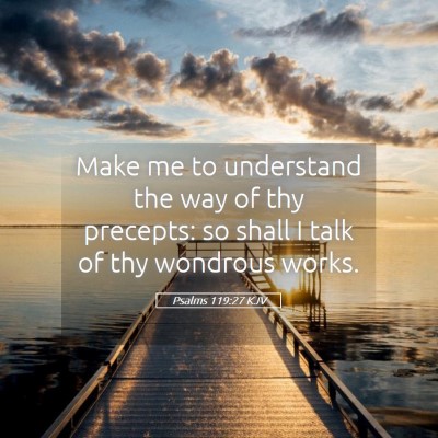Picture 05 - Psalms 119:27 KJV - Make me to understand the way of thy precepts: so - Bible Verse Picture