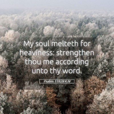 Picture 05 - Psalms 119:28 KJV - My soul melteth for heaviness: strengthen thou me - Bible Verse Picture