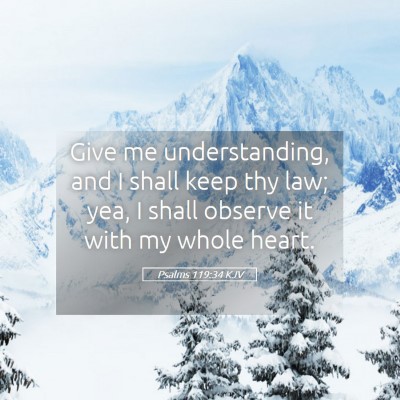 Picture 05 - Psalms 119:34 KJV - Give me understanding, and I shall keep thy law; - Bible Verse Picture