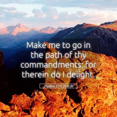 Picture 05 - Psalms 119:35 KJV - Make me to go in the path of thy commandments; - Bible Verse Picture