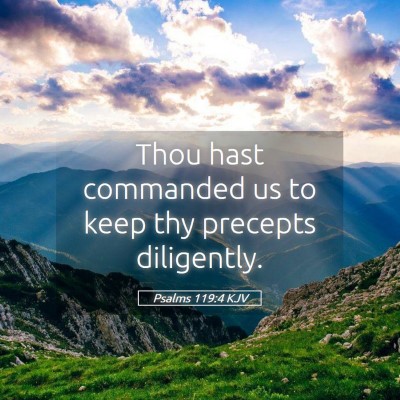 Picture 05 - Psalms 119:4 KJV - Thou hast commanded us to keep thy precepts - Bible Verse Picture