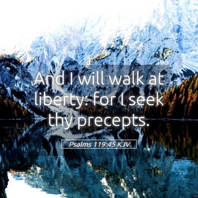Picture 05 - Psalms 119:45 KJV - And I will walk at liberty: for I seek thy - Bible Verse Picture