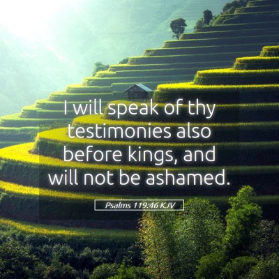 Picture 05 - Psalms 119:46 KJV - I will speak of thy testimonies also before - Bible Verse Picture