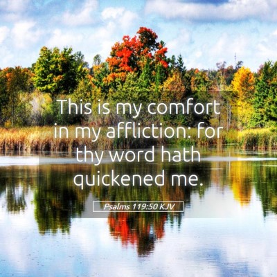 Picture 05 - Psalms 119:50 KJV - This is my comfort in my affliction: for thy word - Bible Verse Picture