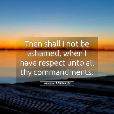 Picture 05 - Psalms 119:6 KJV - Then shall I not be ashamed, when I have respect - Bible Verse Picture