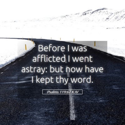 Picture 05 - Psalms 119:67 KJV - Before I was afflicted I went astray: but now - Bible Verse Picture