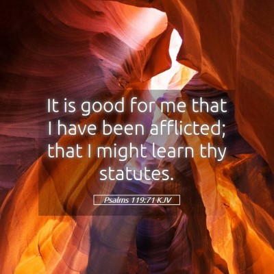 Picture 05 - Psalms 119:71 KJV - It is good for me that I have been afflicted; - Bible Verse Picture