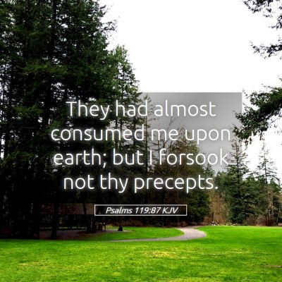 Picture 05 - Psalms 119:87 KJV - They had almost consumed me upon earth; but I - Bible Verse Picture