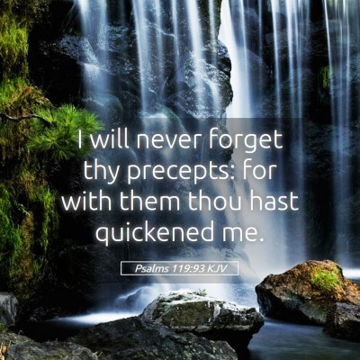 Picture 05 - Psalms 119:93 KJV - I will never forget thy precepts: for with them - Bible Verse Picture