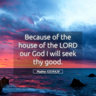 Picture 05 - Psalms 122:9 KJV - Because of the house of the LORD our God I will - Bible Verse Picture