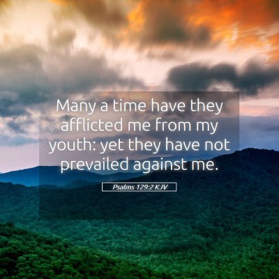 Picture 05 - Psalms 129:2 KJV - Many a time have they afflicted me from my youth: - Bible Verse Picture