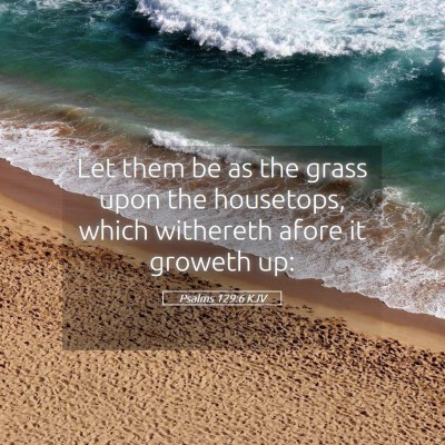 Picture 05 - Psalms 129:6 KJV - Let them be as the grass upon the housetops, - Bible Verse Picture