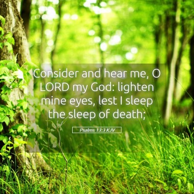 Picture 05 - Psalms 13:3 KJV - Consider and hear me, O LORD my God: lighten mine - Bible Verse Picture