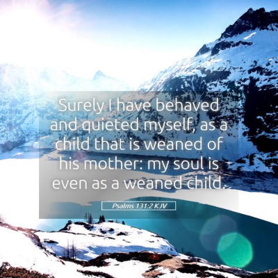 Picture 05 - Psalms 131:2 KJV - Surely I have behaved and quieted myself, as a - Bible Verse Picture