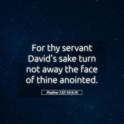 Picture 05 - Psalms 132:10 KJV - For thy servant David's sake turn not away the - Bible Verse Picture