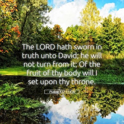 Picture 05 - Psalms 132:11 KJV - The LORD hath sworn in truth unto David; he will - Bible Verse Picture