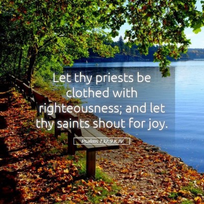 Picture 05 - Psalms 132:9 KJV - Let thy priests be clothed with righteousness; - Bible Verse Picture