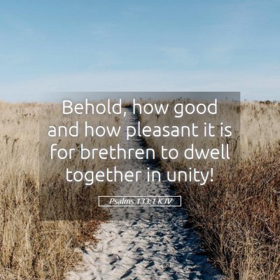 Picture 05 - Psalms 133:1 KJV - Behold, how good and how pleasant it is for - Bible Verse Picture