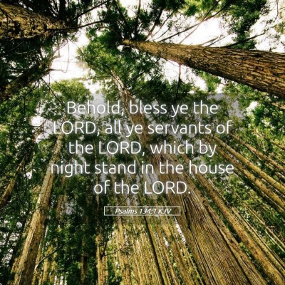 Picture 05 - Psalms 134:1 KJV - Behold, bless ye the LORD, all ye servants of the - Bible Verse Picture