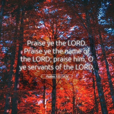 Picture 05 - Psalms 135:1 KJV - Praise ye the LORD. Praise ye the name of the - Bible Verse Picture
