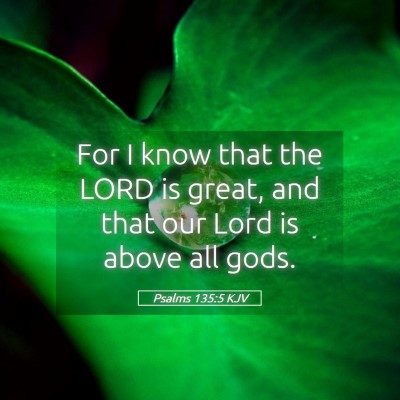 Picture 05 - Psalms 135:5 KJV - For I know that the LORD is great, and that our - Bible Verse Picture