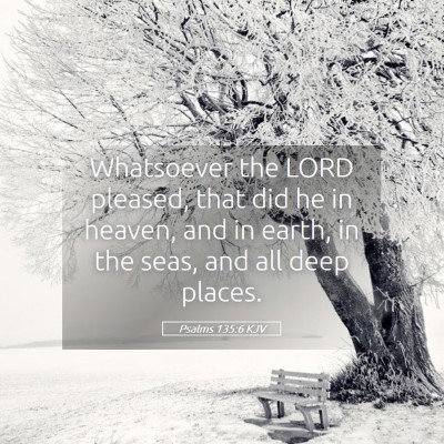 Picture 05 - Psalms 135:6 KJV - Whatsoever the LORD pleased, that did he in - Bible Verse Picture