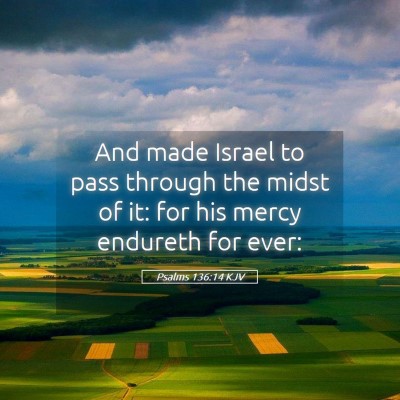 Picture 05 - Psalms 136:14 KJV - And made Israel to pass through the midst of it: - Bible Verse Picture