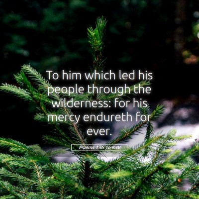Picture 05 - Psalms 136:16 KJV - To him which led his people through the - Bible Verse Picture