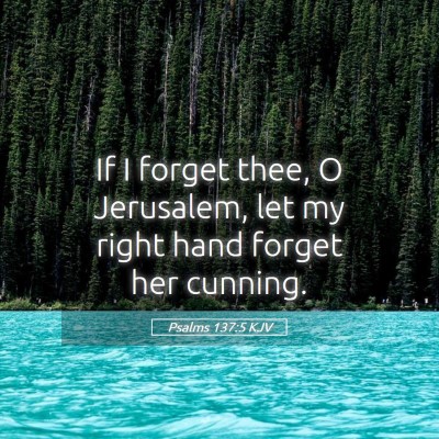 Picture 05 - Psalms 137:5 KJV - If I forget thee, O Jerusalem, let my right hand - Bible Verse Picture