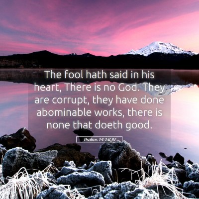 Picture 05 - Psalms 14:1 KJV - The fool hath said in his heart, There is no God. - Bible Verse Picture