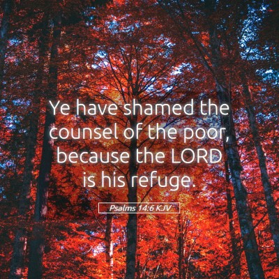Picture 05 - Psalms 14:6 KJV - Ye have shamed the counsel of the poor, because - Bible Verse Picture