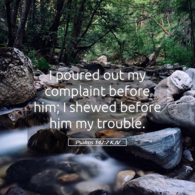 Picture 05 - Psalms 142:2 KJV - I poured out my complaint before him; I shewed - Bible Verse Picture