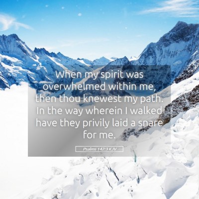 Picture 05 - Psalms 142:3 KJV - When my spirit was overwhelmed within me, then - Bible Verse Picture
