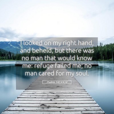 Picture 05 - Psalms 142:4 KJV - I looked on my right hand, and beheld, but there - Bible Verse Picture
