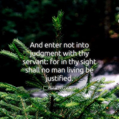 Picture 05 - Psalms 143:2 KJV - And enter not into judgment with thy servant: for - Bible Verse Picture
