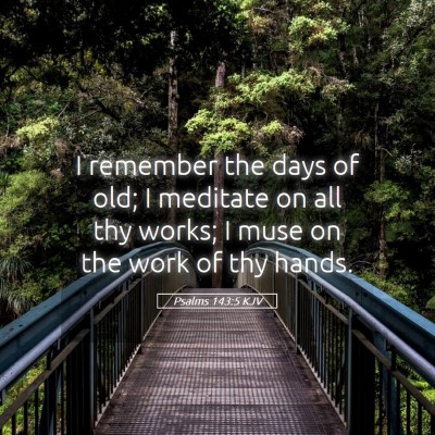 Picture 05 - Psalms 143:5 KJV - I remember the days of old; I meditate on all thy - Bible Verse Picture