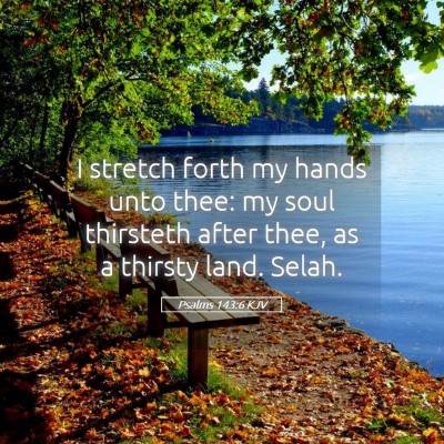 Picture 05 - Psalms 143:6 KJV - I stretch forth my hands unto thee: my soul - Bible Verse Picture