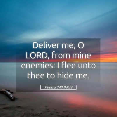 Picture 05 - Psalms 143:9 KJV - Deliver me, O LORD, from mine enemies: I flee - Bible Verse Picture
