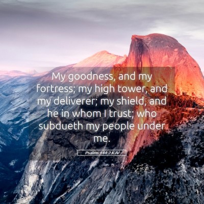 Picture 05 - Psalms 144:2 KJV - My goodness, and my fortress; my high tower, and - Bible Verse Picture