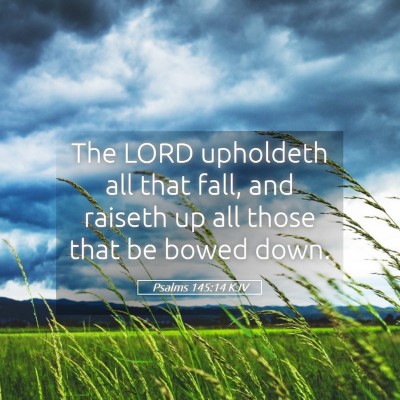 Picture 05 - Psalms 145:14 KJV - The LORD upholdeth all that fall, and raiseth up - Bible Verse Picture