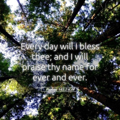 Picture 05 - Psalms 145:2 KJV - Every day will I bless thee; and I will praise - Bible Verse Picture