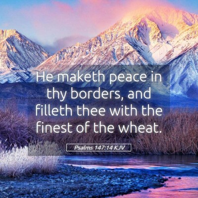 Picture 05 - Psalms 147:14 KJV - He maketh peace in thy borders, and filleth thee - Bible Verse Picture