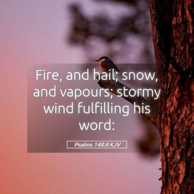 Picture 05 - Psalms 148:8 KJV - Fire, and hail; snow, and vapours; stormy wind - Bible Verse Picture
