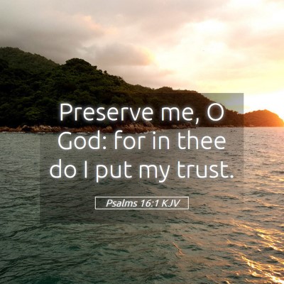 Picture 05 - Psalms 16:1 KJV - Preserve me, O God: for in thee do I put my - Bible Verse Picture