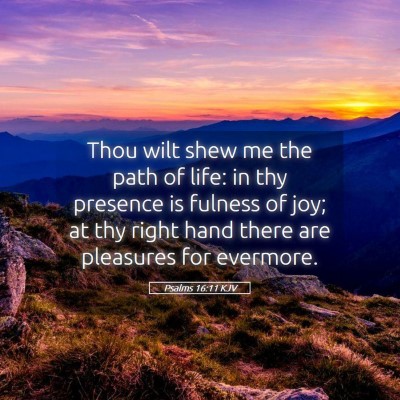 Picture 05 - Psalms 16:11 KJV - Thou wilt shew me the path of life: in thy - Bible Verse Picture