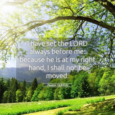 Picture 05 - Psalms 16:8 KJV - I have set the LORD always before me: because he - Bible Verse Picture