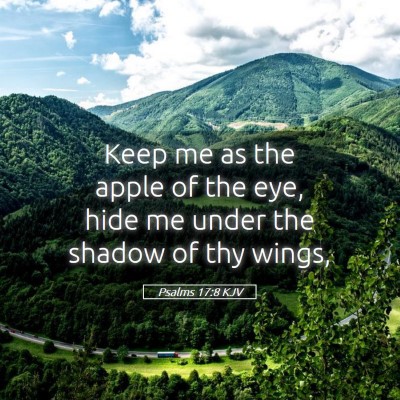 Picture 05 - Psalms 17:8 KJV - Keep me as the apple of the eye, hide me under - Bible Verse Picture